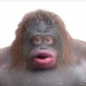 Meet your Posher, Slayter